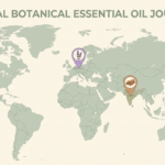World map with botanical icons marking India, Germany and the USA as key aromatherapy candle wellness markets